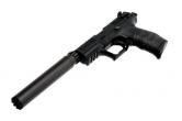 SWR SPECTRE II .22LR